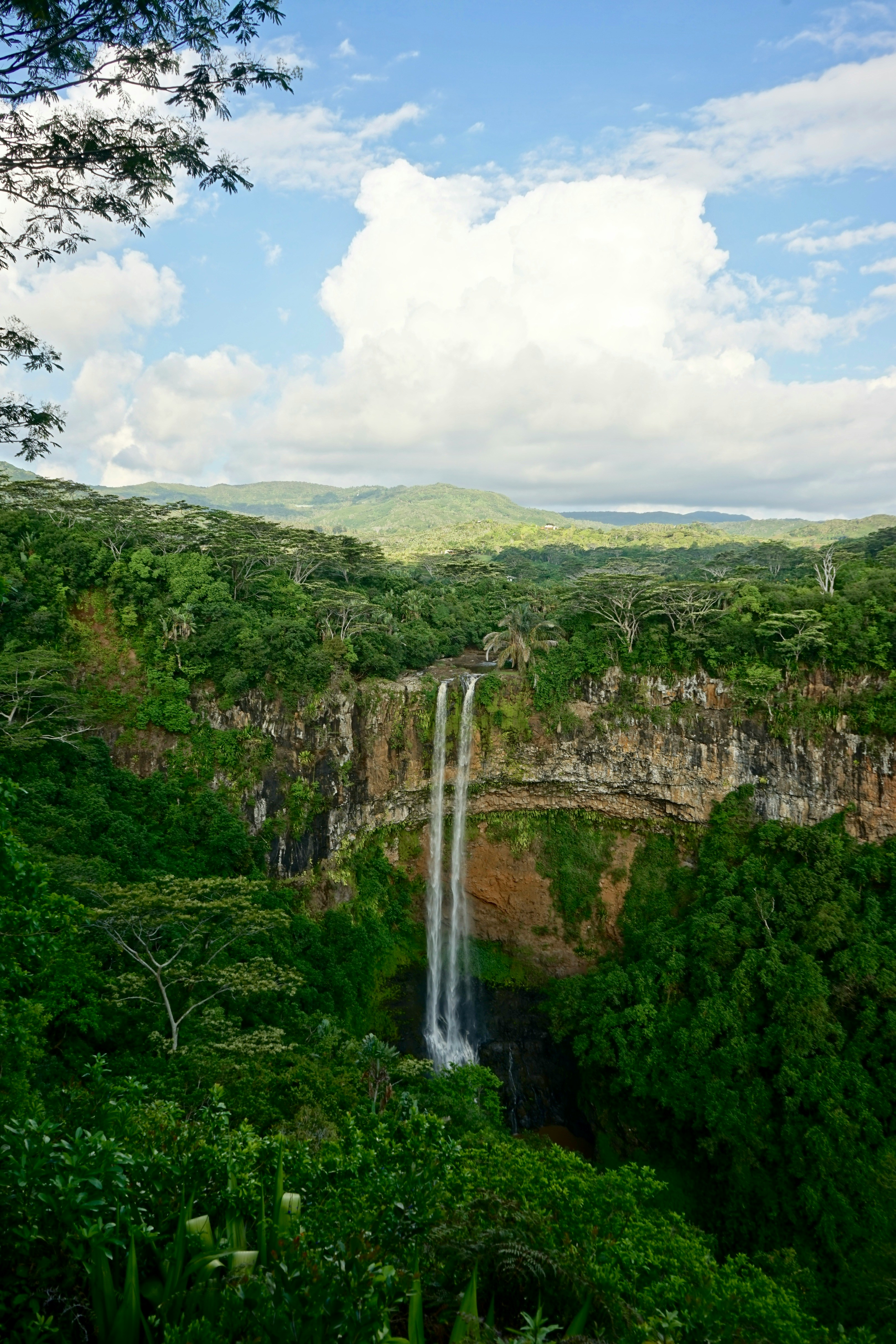 Tour Fosa – Wildlife Adventure